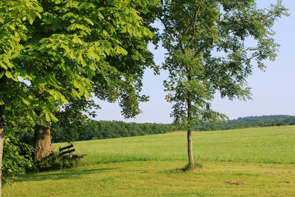 Hotel Milseburg